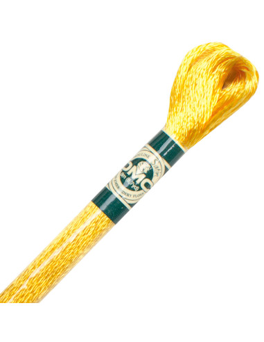 Fil à broder Mouliné satin DMC