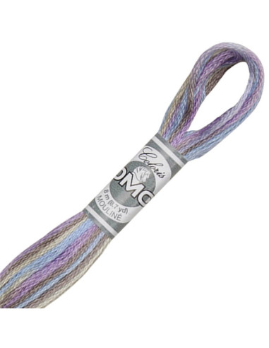 Fil à broder Mouliné DMC Coloris