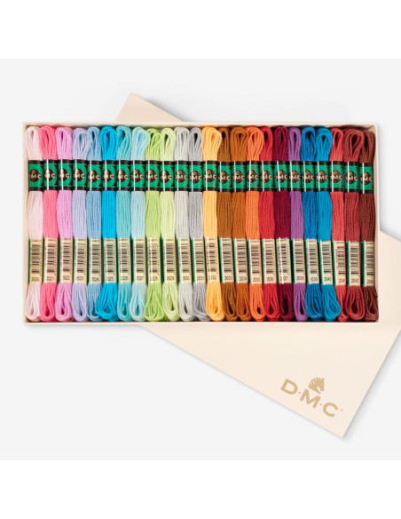 Coffret de 24 échevettes de fil retors mat canevas DMC