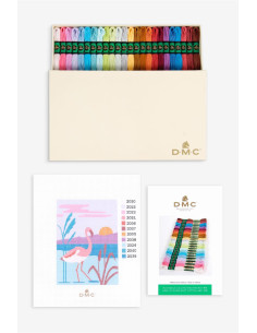 Coffret de 24 échevettes de fil retors mat canevas DMC 2