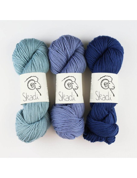 Laine Skadi Merino d'Arles Bio