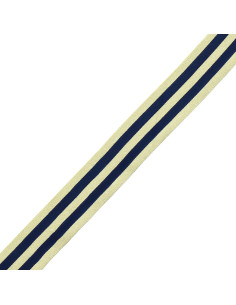 Galon stripes métal - Bleu marine et or 2
