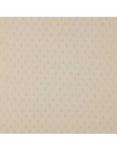 Tissu jersey maille pointelle - Beige