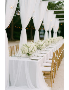 Tissu organza - Blanc 2