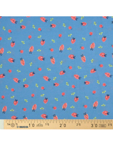 Tissu jersey Fraises - Bleu clair