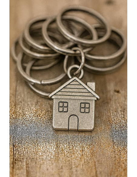 Anneaux brisés porte-clés 20 mm argent
