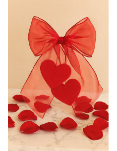 Tissu organza - Rouge 2