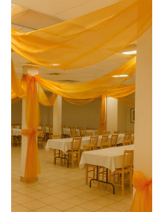 Tissu organza - Ocre 2