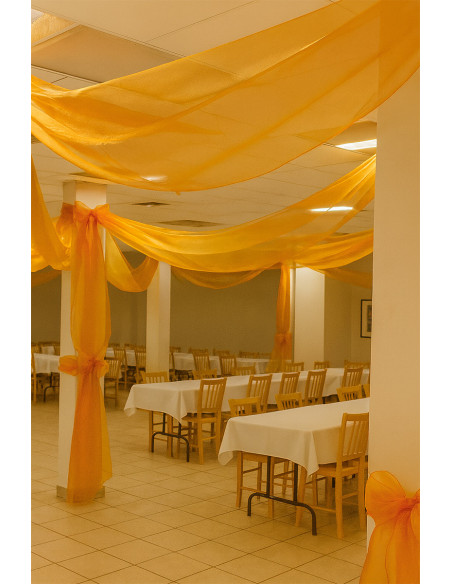 Tissu organza - Ocre