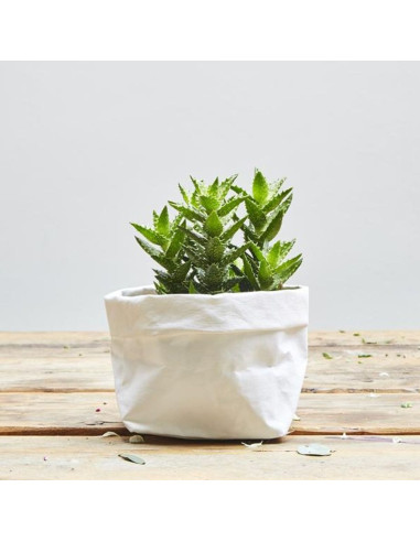 Rouleau papier vegan blanc - 50 x 100 cm