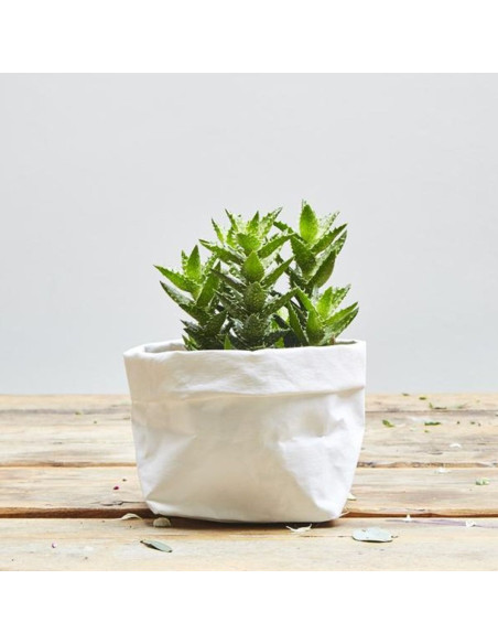Rouleau papier vegan blanc - 50 x 100 cm