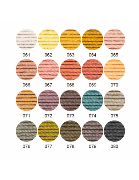 Coffret 20 pelotes de coton Ricorumi - Limited