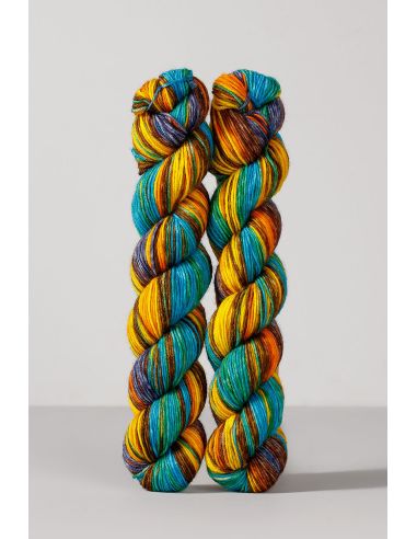 Set de 2 écheveaux de laine à chaussettes Echoes Fingering Gusto Wool