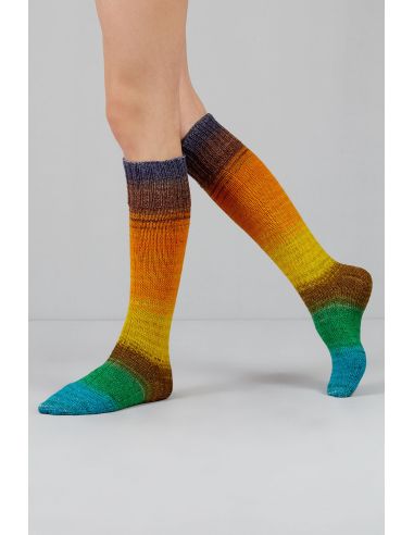 Set de 2 écheveaux de laine à chaussettes Echoes Fingering Gusto Wool