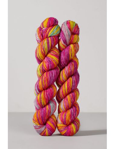 Set de 2 écheveaux de laine à chaussettes Echoes Fingering Gusto Wool