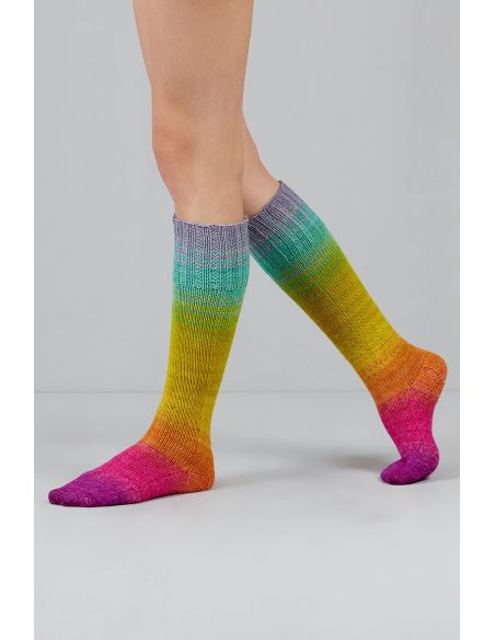 Set de 2 écheveaux de laine à chaussettes Echoes Fingering Gusto Wool
