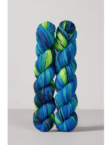 Set de 2 écheveaux de laine à chaussettes Echoes Fingering Gusto Wool