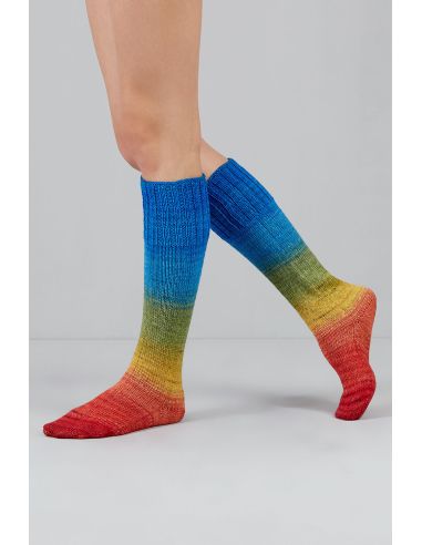 Set de 2 écheveaux de laine à chaussettes Echoes Fingering Gusto Wool
