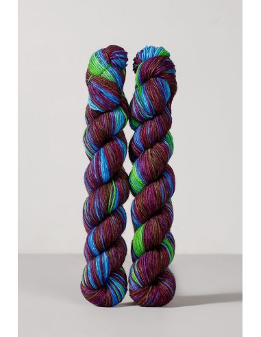 Set de 2 écheveaux de laine à chaussettes Echoes Fingering Gusto Wool