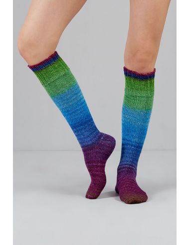 Set de 2 écheveaux de laine à chaussettes Echoes Fingering Gusto Wool