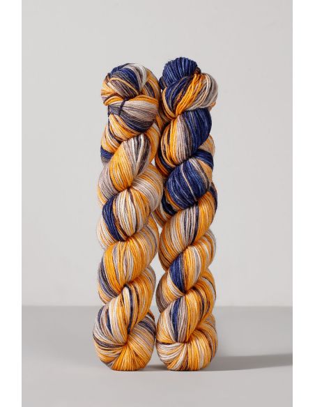 Set de 2 écheveaux de laine à chaussettes Echoes Fingering Gusto Wool