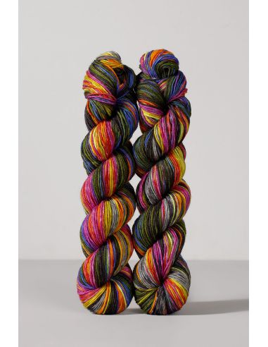Set de 2 écheveaux de laine à chaussettes Echoes Fingering Gusto Wool