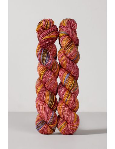 Set de 2 écheveaux de laine à chaussettes Echoes Fingering Gusto Wool