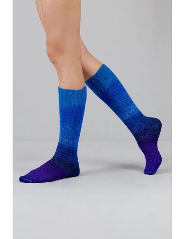 Set de 2 écheveaux de laine à chaussettes Echoes Fingering Gusto Wool