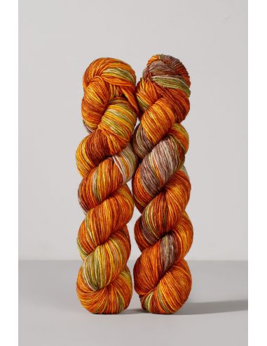 Set de 2 écheveaux de laine à chaussettes Echoes Fingering Gusto Wool