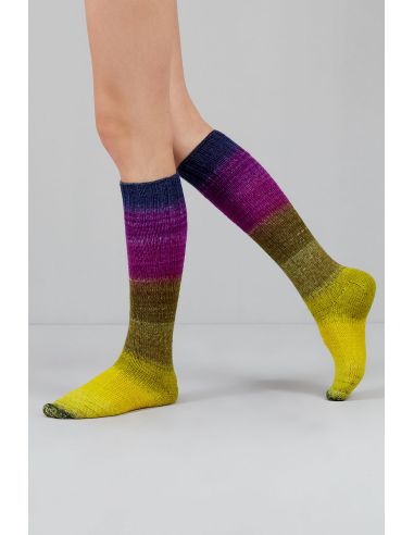 Set de 2 écheveaux de laine à chaussettes Echoes Fingering Gusto Wool