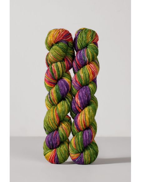 Set de 2 écheveaux de laine à chaussettes Echoes Fingering Gusto Wool