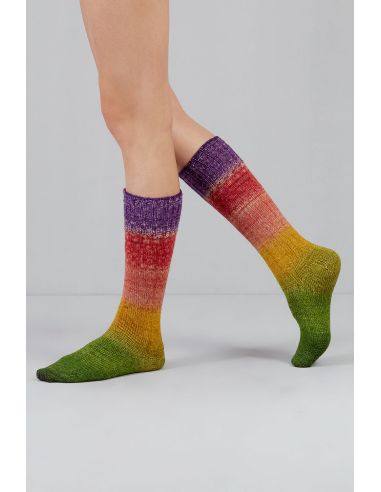 Set de 2 écheveaux de laine à chaussettes Echoes Fingering Gusto Wool
