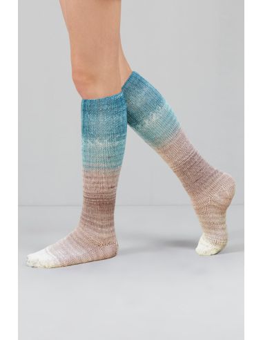 Set de 2 écheveaux de laine à chaussettes Echoes Fingering Gusto Wool