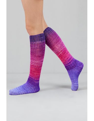 Set de 2 écheveaux de laine à chaussettes Echoes Fingering Gusto Wool