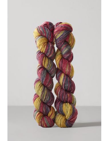 Set de 2 écheveaux de laine à chaussettes Echoes Fingering Gusto Wool