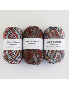 Laine à chaussette Soqs & More 4 fils Arne & Carlos
