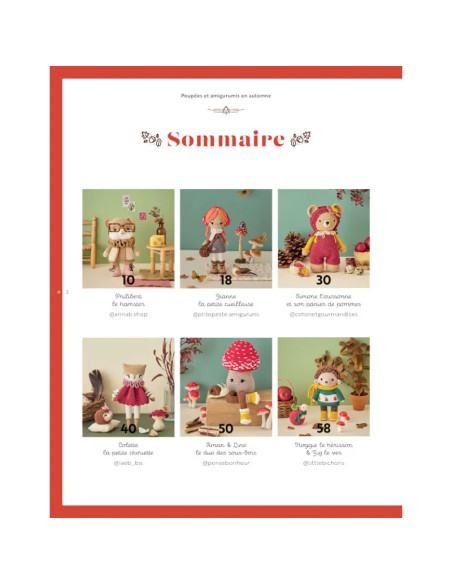 Livre poupées & amigurumis en automne