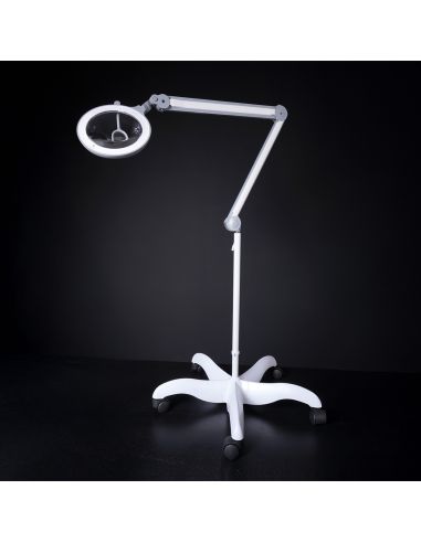 Pied sur roulettes blanc prestige Daylight