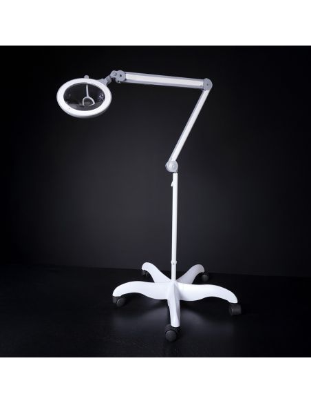 Pied sur roulettes blanc prestige Daylight