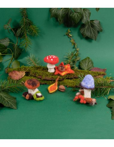 Kit à feutrage - Champignons