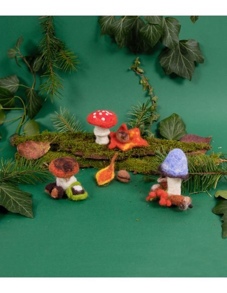 Kit à feutrage - Champignons