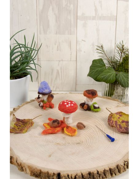 Kit à feutrage - Champignons