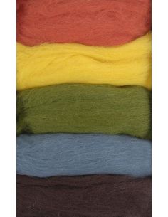 Pack de 5 laines cardées à feutrer DMC - Autumn 2