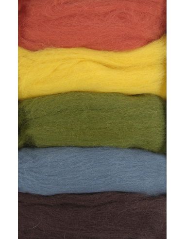 Pack de 5 laines cardées à feutrer DMC - Autumn