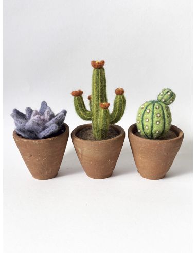 Pack de 5 laines cardées à feutrer DMC - Bouquet