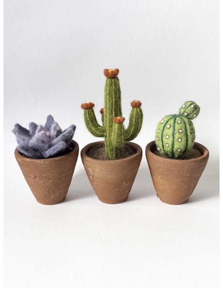 Pack de 5 laines cardées à feutrer DMC - Bouquet