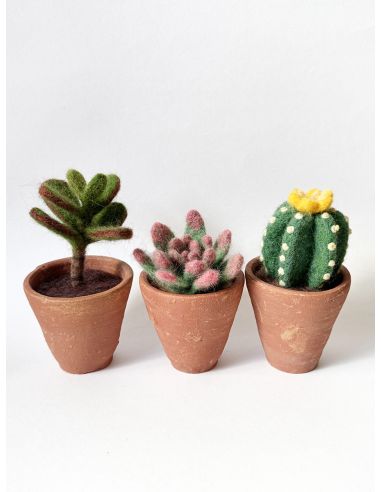 Pack de 5 laines cardées à feutrer DMC - Spring