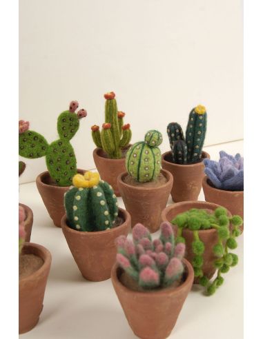 Catalogue feutrage DMC - Cactus et succulentes