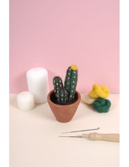 Catalogue feutrage DMC - Cactus et succulentes