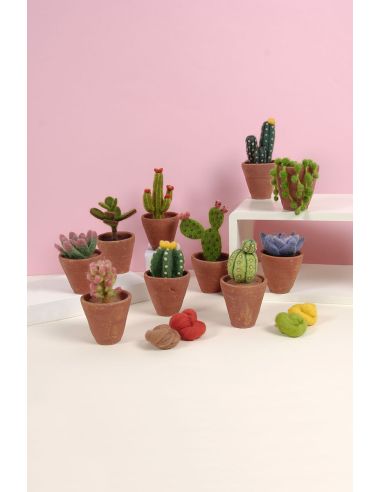 Catalogue feutrage DMC - Cactus et succulentes